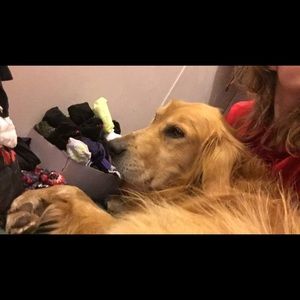 Meet your Posher, Serena